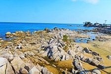 앗! 나의 실수:해파랑길41(2) - .....정기♡사진방 - 청주 수요힐링산악회 앗! 나의 실수:해파랑길41(2)