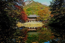 단풍 백암산-백양사(1) - .....정기♡사진방 - 청주 수요힐링산악회 단풍 백암산-백양사(1)