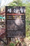 단풍 속리산(세조길-문장대-천왕봉)(2) - .....정기♡사진방 - 청주 수요힐링산악회 단풍 속리산(세조길-문장대-천왕봉)(2)