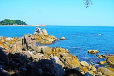 해파랑길41(죽도~주문진)(1) - 가보고 싶은산 추천방 - 청주 수요힐링산악회 해파랑길41(죽도~주문진)(1)