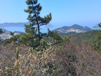불갑산 그리고 벙산 - .....정기♡사진방 - 청주 수요힐링산악회 불갑산 그리고 벙산