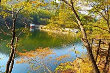 단풍 속리산(세조길-문장대-천왕봉)(1) - .....정기♡사진방 - 청주 수요힐링산악회 단풍 속리산(세조길-문장대-천왕봉)(1)