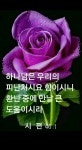 오늘도 주님사랑 가득하소서 - 信仰,愛 - 행복한 정암의 집 오늘도 주님사랑 가득하소서