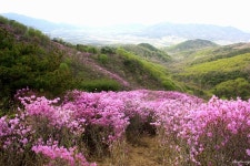 정암구내식당 | 왜 산에 가야 하는기? - 자유게시판 - 행복한 정암의 집 왜 산에 가야 하는기?