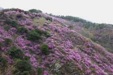 왜 산에 가야 하는기? - 자유게시판 - 행복한 정암의 집 왜 산에 가야 하는기?