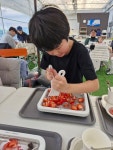 주일 학교 어린이들이 딸기 농장 체험을 다녀왔어요 - 주일학교 사진 - 운교동 성당 주일 학교 어린이들이 딸기 농장 체험을 다녀왔어요