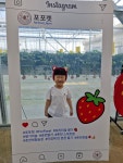 주일 학교 어린이들이 딸기 농장 체험을 다녀왔어요 - 주일학교 사진 - 운교동 성당 주일 학교 어린이들이 딸기 농장 체험을 다녀왔어요