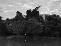 실론의 아란야에서 1 - 수행 日記 - 천 동 사 실론의 아란야에서 1