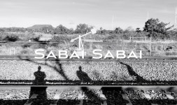 실론의 아란야에서 1 - 수행 日記 - 천 동 사 실론의 아란야에서 1