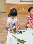 🌳율곡1반 - 숲체험🌳 - 2025년 율곡1반 - 전북민족사관유치원 🌳율곡1반 - 숲체험🌳