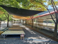 연지곤지 8월평상&텐트,어린이풀장 - 공지 사항 - 청도 연지곤지캠핑장 연지곤지 8월평상&텐트,어린이풀장