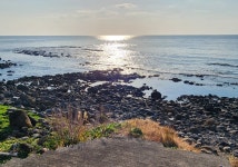 25. 12. 7. - 예래 생태공원~예래 해안로 왕복. - 숲길, 둘레길 - 트멍보멍 25. 12. 7. - 예래 생태공원~예래 해안로 왕복.