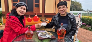 #완도 수목원 #진도개 테마파크. #진도 전망대. 2025년11월8일. - 우리들의 이야기 - 내 인생의 삶 #완도 수목원 #진도개 테마파크. #진도... 