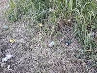 모처럼 달려봅니다. - ▶▶▶ 청소(클린) 이벤트 - 참조은노지 모처럼 달려봅니다.