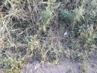 모처럼 달려봅니다. - ▶▶▶ 청소(클린) 이벤트 - 참조은노지 모처럼 달려봅니다.