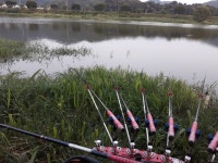 모처럼 달려봅니다. - ▶▶▶ 청소(클린) 이벤트 - 참조은노지 모처럼 달려봅니다.