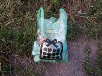 모처럼 달려봅니다. - ▶▶▶ 청소(클린) 이벤트 - 참조은노지 모처럼 달려봅니다.