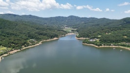 2024. 06. 26. 정안 저수지, 고성 낚시터 조황 소식입니다. - 조황정보 - 고성낚시터 2024. 06. 26. 정안 저수지, 고성 낚시터 조황 소식입니다.