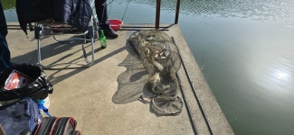 2024. 05. 19. 정안 저수지, 고성 낚시터 조황 소식입니다. - 조황정보 - 고성낚시터 2024. 05. 19. 정안 저수지, 고성 낚시터 조황 소식입니다.