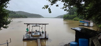 2025. 07. 17. 한방에 꽉 찼습니다. - 공지사항 - 고성낚시터 2025. 07. 17. 한방에 꽉 찼습니다.