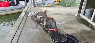 2024. 05. 08. 정안 저수지, 고성 낚시터 조황 소식입니다. - 조황정보 - 고성낚시터 2024. 05. 08. 정안 저수지, 고성 낚시터 조황 소식입니다.