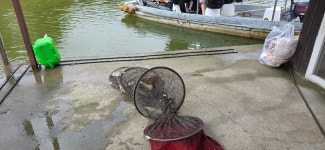 2025. 09. 07. 정안 저수지, 고성 낚시터 조황 소식입니다. - 조황정보 - 고성낚시터 2025. 09. 07. 정안 저수지, 고성 낚시터 조황 소식입니다.