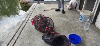 2025. 10. 26. 정안 저수지, 고성 낚시터 조황 소식입니다. - 조황정보 - 고성낚시터 2025. 10. 26. 정안 저수지, 고성 낚시터 조황 소식입니다.