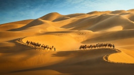 신장 천산 남북로 일정 - 세계로도보여행 (모집중 )26년 6월 8일 출발 / 실크로드 초보자코스 /쿠루타마 사막~투루판 동,서편 관광 ~ 우루무치로 이동