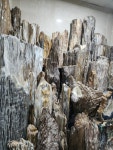 강원종합박물관(삼척) - ─ 개 인 photo - 인천푸른솔산악회 강원종합박물관(삼척)