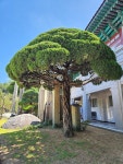 강원종합박물관(삼척) - ─ 개 인 photo - 인천푸른솔산악회 강원종합박물관(삼척)