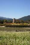 경주팥집미성당 | 경주 동부 사적지 - - 공동체활동 - 대구 동촌성당 경주 동부 사적지