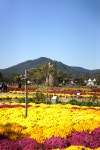 경주팥집미성당 | 경주 동부 사적지 - - 공동체활동 - 대구 동촌성당 경주 동부 사적지