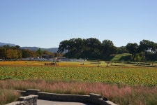 경주 동부 사적지 - - 공동체활동 - 대구 동촌성당 경주 동부 사적지