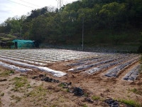 (동면 만천리) KCC 스위첸 아파트 정문 인근 저렴한 전(田) 1,490m² 매매(면적당 120만) - 토지(나대지) 임야 - [춘천]... 