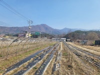 [춘천]부동산태인공인중개사사무소 (동면 만천리) 만천사거리 만천3리 마을회관 맞은 편 토지 2차선 접한 답(畓) 7,197㎡ (2,177평) 매매... 