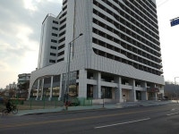 근화동 신축 잭슨나인스 호텔과 바로 붙은 자리 / 일반상업지역 590m²... 신축 잭슨나인스 호텔과 바로 붙은 자리 / 일반상업지역 590m² 매매... 