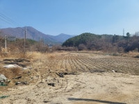 [춘천]부동산태인공인중개사사무소 (동면 만천리) 만천사거리 만천3리 마을회관 맞은 편 토지 2차선 접한 답(畓) 7,197㎡ (2,177평) 매매... 