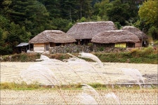 전북특별자치도 남원시 주천면 (지리산둘레길 제1코스) 산행 - 산행후기 - 누리산악회(대구) 전북특별자치도 남원시 주천면 (지리산둘레길... 