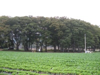 전북특별자치도 남원시 주천면 (지리산둘레길 제1코스) 산행 - 산행후기 - 누리산악회(대구) 전북특별자치도 남원시 주천면 (지리산둘레길... 