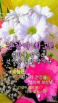 ♡*...발끝 까딱하면 혈당이 낮아진다? - ◐글이 있는 영상 - 노년의 건강 파크골프 ♡*...발끝 까딱하면 혈당이 낮아진다?