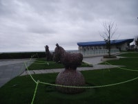 강원도 삼척 쏠비치 리조트 - ☆그림과 풍경 영상 - 노년의 건강 파크골프 강원도 삼척 쏠비치 리조트