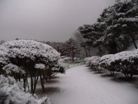 눈 내린 우리동내 설경 - ☆그림과 풍경 영상 - 노년의 건강 파크골프 눈 내린 우리동내 설경