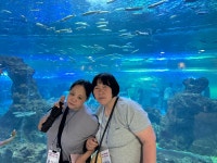 제주도 아쿠아플라넷 - - 제주도 2박3일 - 경북지적발달장애인복지협회 의성군지부 ~ 디딤돌주간보호센터 제주도 아쿠아플라넷