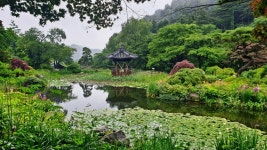 아침고요 수목원 - 자유게시판[1] - 황혼의 멋진 삶 아침고요 수목원