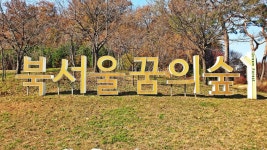 북서울 꿈의숲 - 자유게시판[1] - 황혼의 멋진 삶 북서울 꿈의숲