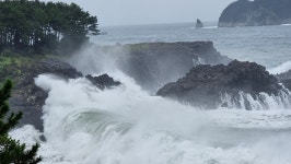 제주도 해안선 일주(5) 월정포구~하도리~성산읍~중문 - 【 제주도 】 - 지리산속으로 제주도 해안선 일주(5) 월정포구~하도리~성산읍~중문