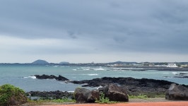 제주도 해안선 일주(5) 월정포구~하도리~성산읍~중문 - 【 제주도 】 - 지리산속으로 제주도 해안선 일주(5) 월정포구~하도리~성산읍~중문