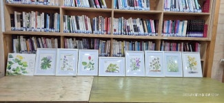 초록길도서관 ＜불광천의 풀과시＞ 4차시 - 품안에 삼대 - 은평수채화커뮤니티 물색그리다 초록길도서관 ＜불광천의 풀과시＞ 4차시