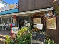 별별곳간 동아리 축제🌳 - 별별-금(금 10:30~12:30) - 은평수채화커뮤니티 물색그리다 별별곳간 동아리 축제🌳