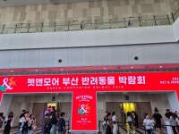 펫 앤 모어 부산 반려동물 박람회 해운대구협의회 봉사활동 동참!!!... - 부산협의회 - 대한적십자사 봉사회 전국협의회 펫 앤 모어 부산 반려동물... 